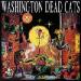 Washington Dead Cats - Go Crazy!