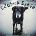 Seasick Steve - You Can't Teach An Old Dog New Tricks