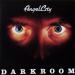 Darkroom - Angelcity