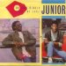 Junior - Do You Really Want My Love