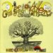 Daevid Allen & Mothergong - The Owl & The Tree