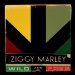 Ziggy Marley - Wild And Free