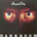 Angel City - Darkroom