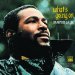 Marvin Gaye - What's Going On