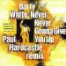 Barry White - Never Never Gonna Give You Up (paul Hardcastle Remix)