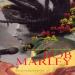 Maillot, Elodie - Dictionnaire Des Chansons De Bob Marley