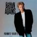Bryan Adams - You Want It . You Got It