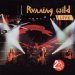 Running Wild - The Brotherhood-live