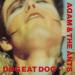 Adam & The Ants - Dog Eat Dog