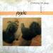 Psyche - Contorting The Image
