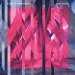 A Place To Bury Strangers - Transfixiation