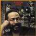 Marvin Gaye - Midnight Love