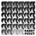 Harry Pussy - Let's Build A Pussy