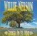 Willie Nelson - Georgia On My Mind