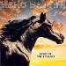 Marc Battini - Spirit Of The Stallion