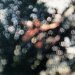 Pink Floyd - Obscured By Clouds