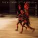 Simon Paul - The Rhythm Of The Saints