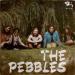 The Pebbles - To The Rising Sun / Is There No One