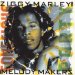 Ziggy Marley And The Melody Makers - Conscious Party