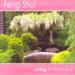 Living In Harmony - Feng Shui