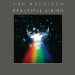 Morrison Van - Beautiful Vision
