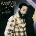 Marvin Gaye - A Musical Testament 1964 - 1984 By Marvin Gaye