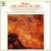 Sibelius - Origin Of Fire