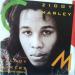 Ziggy Marley And Melody Makers - Tumblin' Down