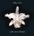 Kings Of Leon - Aha Shake Heartbreak