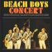 Beach Boys - The - Beach Boys Concert