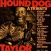 Various Blues Rock Artists (1997a) - Hound Dog Taylor A Tribute