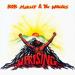 Bob Marley & The Wailers - Uprising