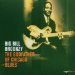 Broonzy Big Bill - Godfather Of Chicago Blues By Big Bill Broonzy