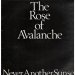 Rose Of Avalanche - Rose Of Avalanche