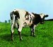 Pink Floyd - Atom Heart Mother