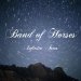 Band Of Horses - Infinite Arms
