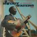 Waters, Muddy - Muddy Waters At Newport 1960