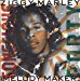 Ziggy Marley And The Melody Makers - Conscious Party