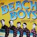 The Beach Boys - Surfer Girl