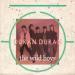 Duran Duran - The Wild Boys