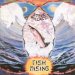 Steve Hillage - Fish Rising