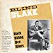 Blind Blake - Back Biting Bee Blues