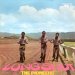 Pioneers - Long Shot
