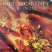 Paul Mc Cartney - Flowers In The Dirt