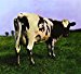 Pink Floyd - Atom Heart Mother