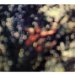 Pink Floyd - Obscured By Clouds