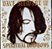 Stewart Dave - Dave Stewart & The Spiritual Cowboys