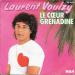 Laurent Voulzy - Coeur Grenadine (le)
