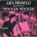 Liza Minnelli / Ralph Burns & His Orchestra* - New York New York