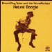 Hound Dog Taylor - Natural Boogie